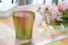 HORIE Made in Niigata Prefecture Titanium Double Tumbler 250cc Spring Color T15HI250 Tsubame,