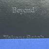 [USED] Sold Out Takeru Sato Photobook Art Book "Beyond" Glass Heart Mega Jacket