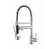 TLXT Dual-Function Spring Pull-Out Kitchen Faucet
