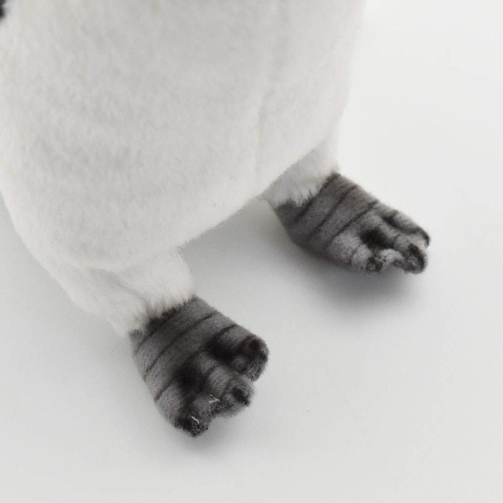 Cape Penguin 21 BH7084