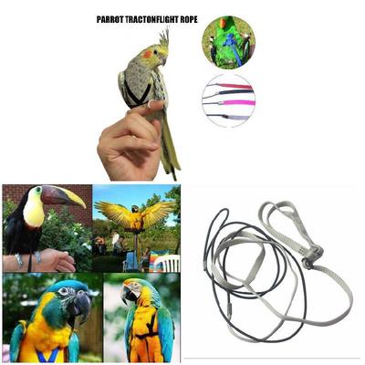 Bird Training Outdoor Carrying Parrot Harness and Leash Flying Anti-bite Traction Rope for Psittacus Erithacus Scarlet Macaw Parrots Birds Pet Bird Harness and Leash