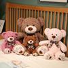 Cartoon Teddy Bear Plush Toy - Little Hugging Bear Soothing Doll - Birthday Gift for Girls