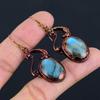 Labradorite Copper Electroformed Earrings, Handmade Gemstone Earrings Jewelry, Gifts For Wife Brand New Earrings