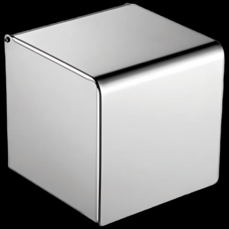 Juyuan AK11 Wall-Mounted Stainless Steel Tissue Holder