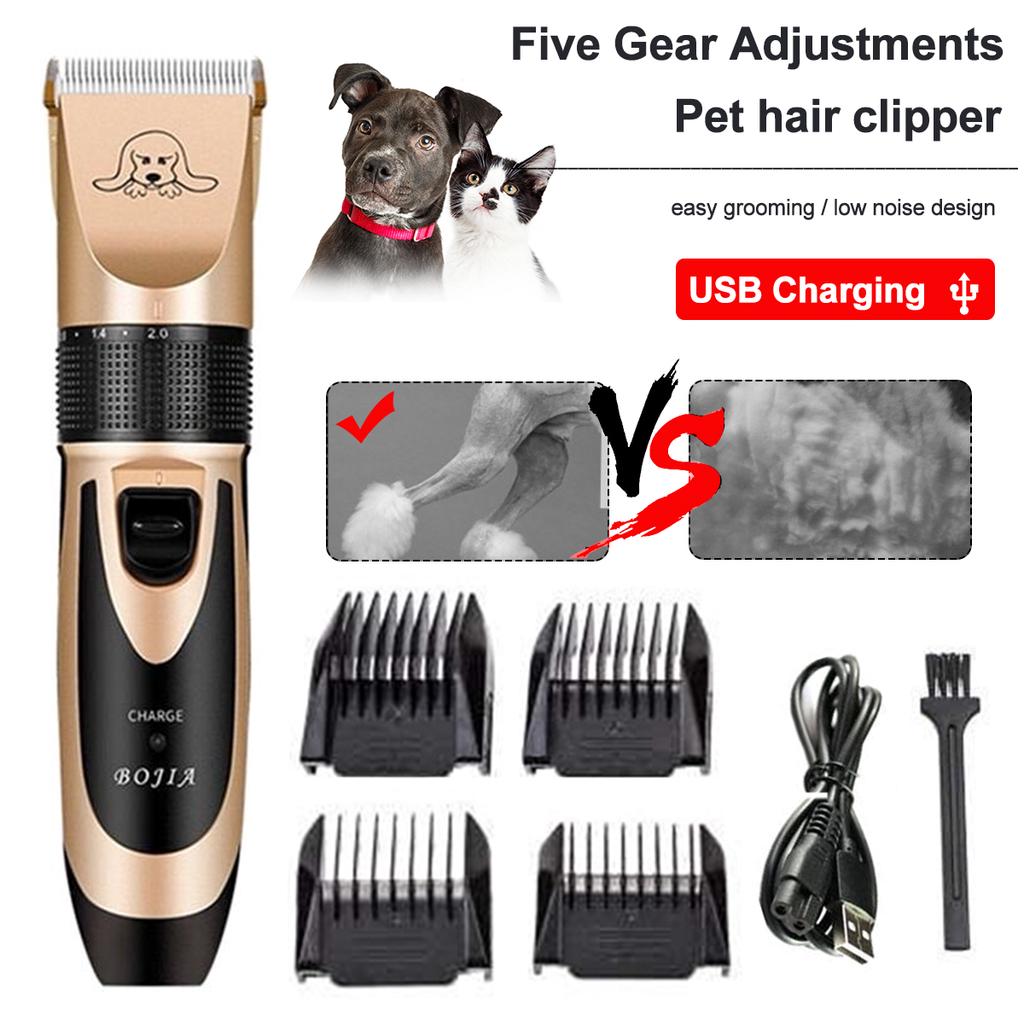 shavers for dogs