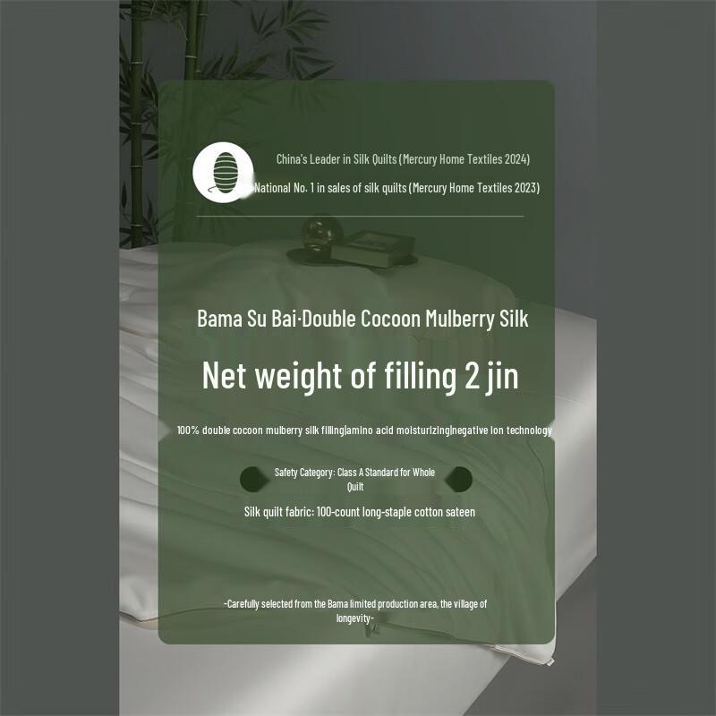 Mercury Home Textiles 100% Silk Quilt