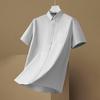 Men's Plus Size Striped Short Sleeve Polo Shirt