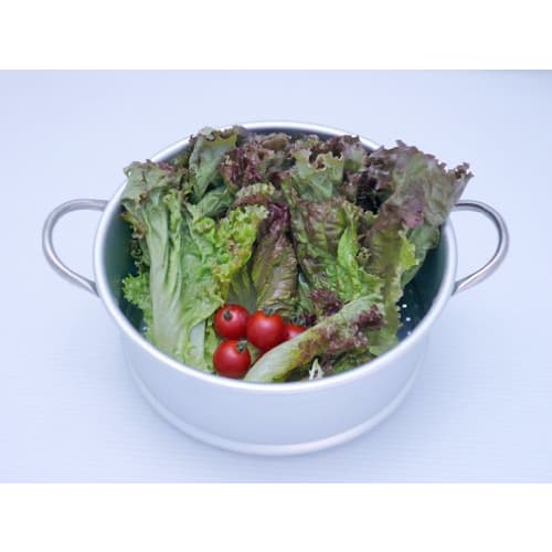 Fujita Metal Steamer, 20cm, Made In Japan, Aluminum, Sweet, Silver, 005904