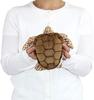 Colorata Loggerhead Sea Turtle Plush Toy (S Size/Soft Touch) Realistic Turtle Marine Animal Toy Doll Gift Present Birthday (Twice Checked) / Christmas