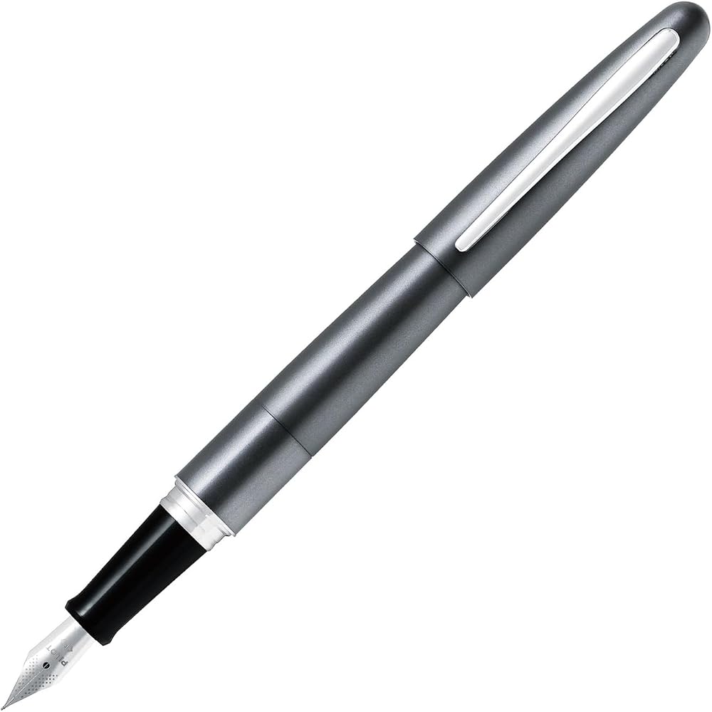 Pilot fountain pen cocoon metallic grey fine print FCO-3SR-MGY-F