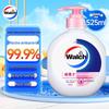 Walch Antibacterial Moisturizing Hand Soap