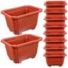 10pcs Elegant Bonsai Pot Lightweight Practical Flowerpot for Small Plants Office Home Use