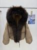Autumn and winter short daily versatile thickened loose coat women's removable natural real raccoon fur collar down jacket