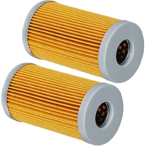 (Pack of 5) Fuel Filter Element 1A001-43160 15521-43160 Compatible with Kubota D&V Series Engine L235 L2250 L2650 L275 L2850 L2900 L2950 L2650 L4300