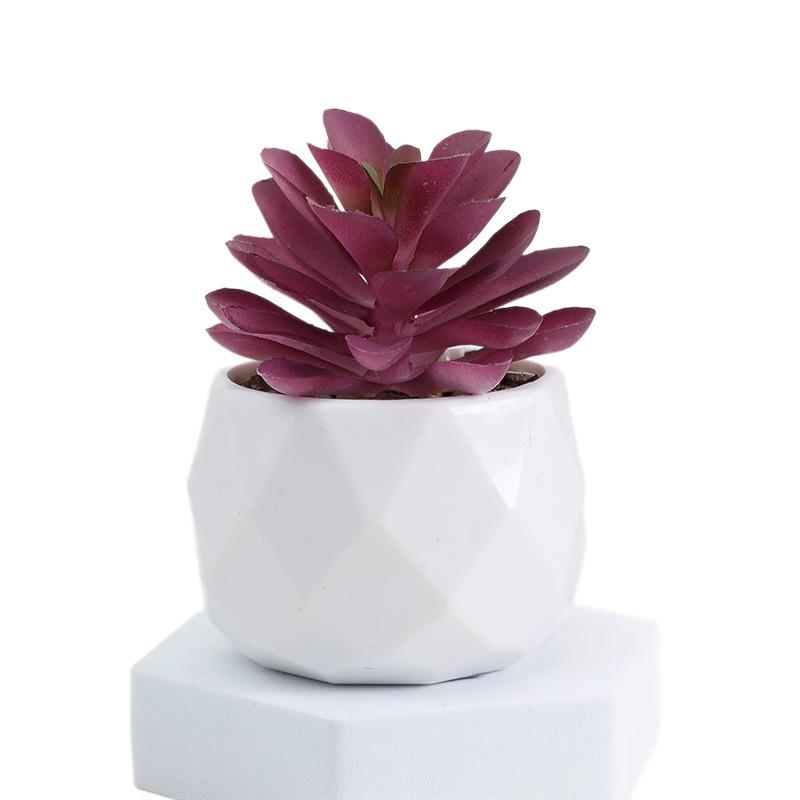 Diamond Succulent Set: Desktop Potted Ornament Decor