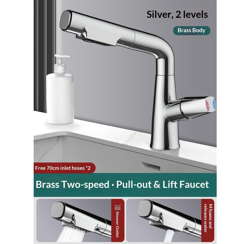 Premium Brass Pull-Out Basin Faucet Liftable Rotatable Spout Mixer Tap With Dual Spray Options Cold Water Control