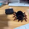 Bionic Shark Crocodile Spider Electric Fish Remote Control Toy