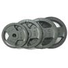 Jixiong Barbell & Dumbbell Weight Plates