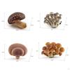 4 Piece Mushroom Model Decoration Figures for Nursery Storytelling Toddlers Unisex