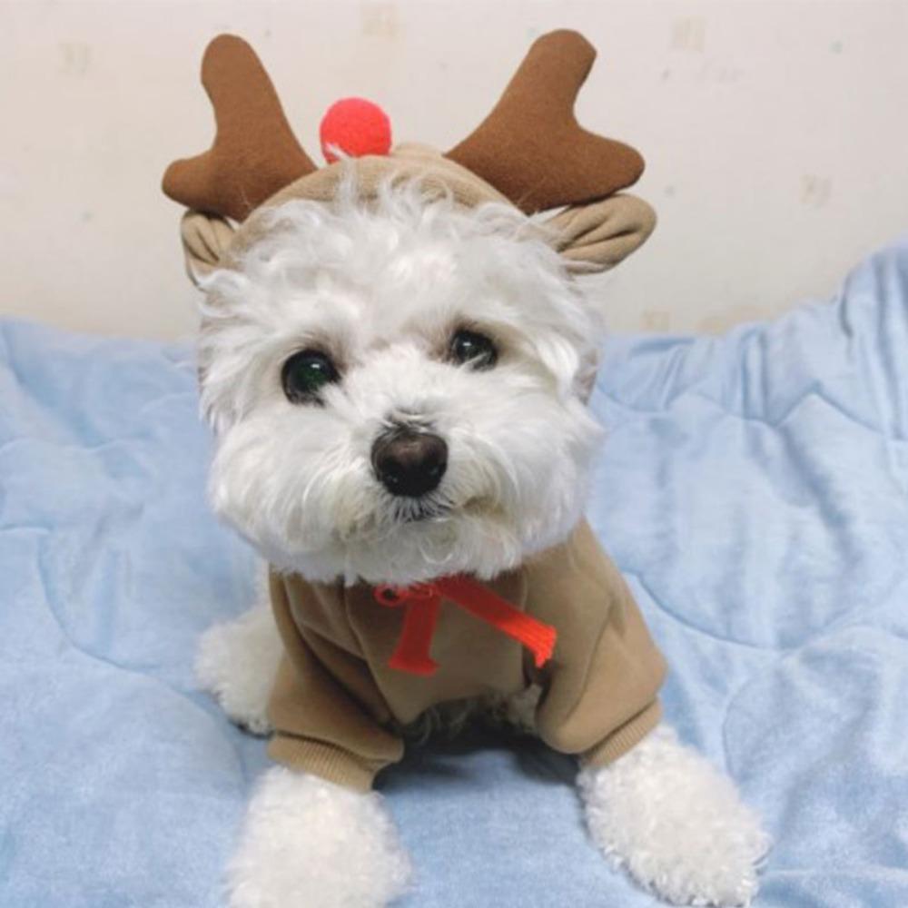 Pet Elk Transformation Dog Cat Small Medium Dog Autumn Winter Sweater Dog Fleece Clothing Cat Supplies Teddy Doo