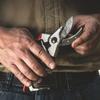 FELCO 2 Sécateur (Coupe Ø 25 mm, grandes mains, 215 mm, rainure à sève, poignées ergo)