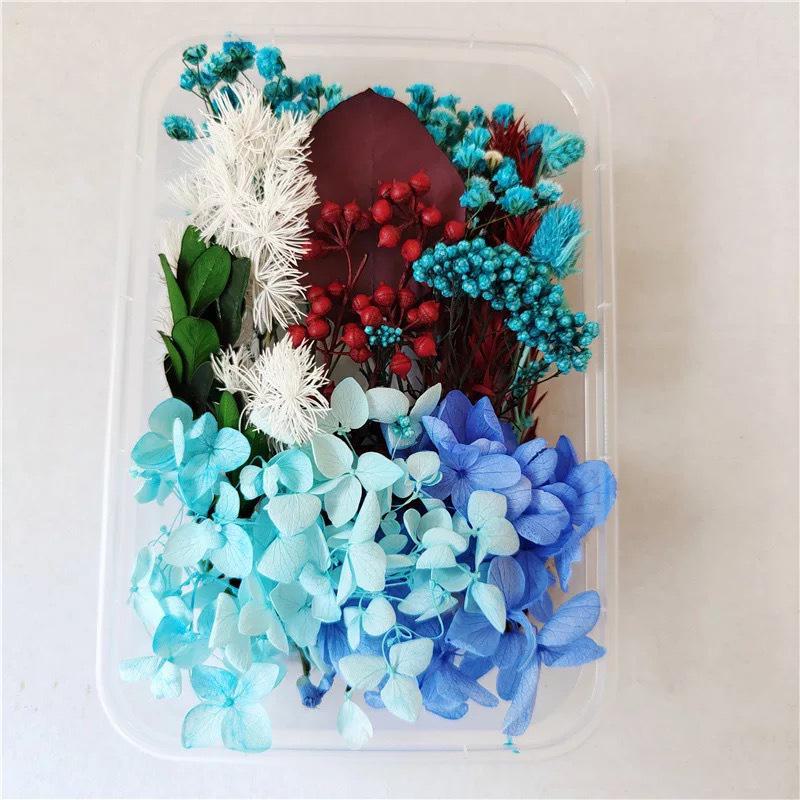 Kit DIY Fleur Éternelle: Cadre photo de fleurs séchées, éventail rond, bouteille flottante, composition florale réelle pour la décoration du salon ou de la maternelle.