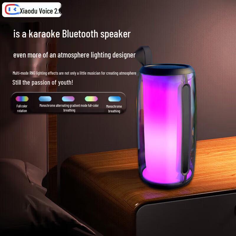 Newmine M18 Portable KTV Bluetooth Speaker with Dual Microphones CN plug (adapter included)