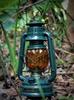 Lantern Marsh Oil Lantern, Kerosene Lantern, Portable Lighting for Outdoor Camping, Hand Lantern, Vintage Lantern (Dark Green)