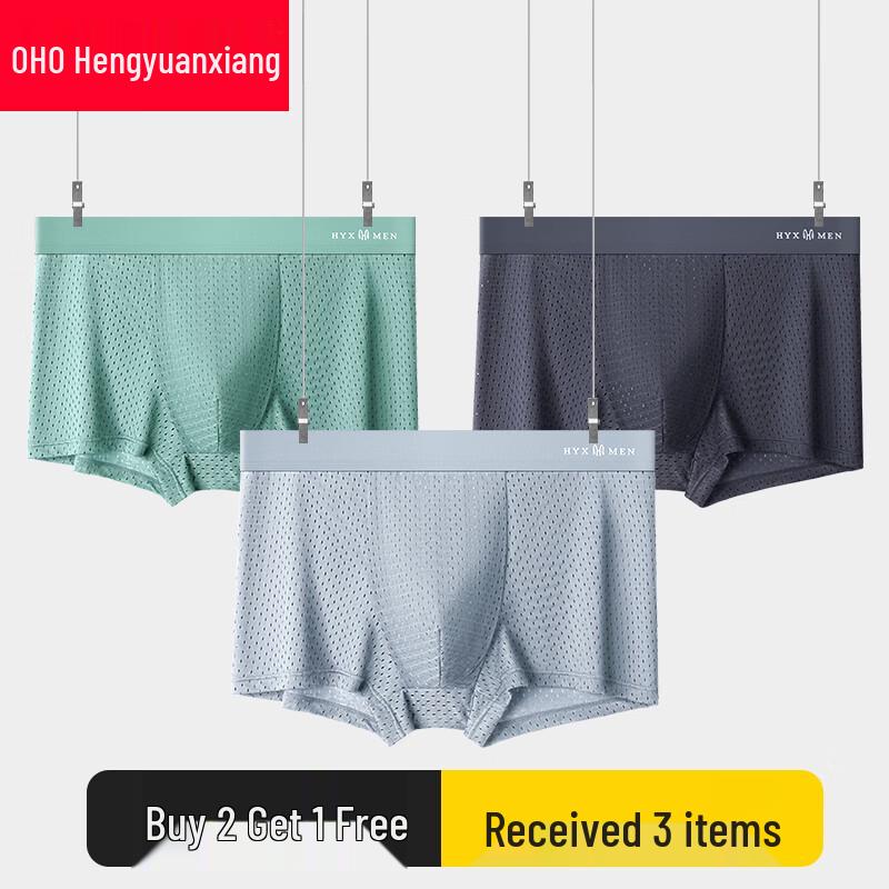 Hengyuanxiang Men's Ice Silk Mesh Boxer Briefs