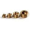 20pcs Brass Pipe Plug 1/8" 1/4" 3/8" 1/2" NPT Plug Internal Hex Thread Socket Fitting Assortment Kit