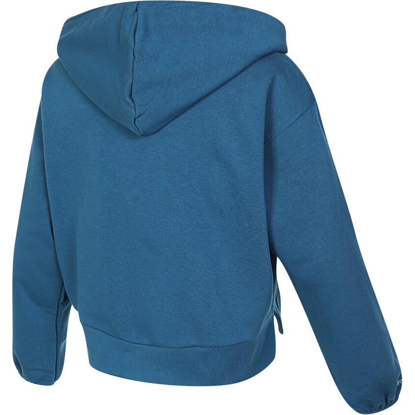 Nike Embroidered Logo Oversized Pocket Cropped Sports Hoodie Women Hoodies Blue DA6484-457