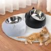 200ML Cute Cat and Dog Bowl Protection Cervical Vertebra 15 Degree Oblique Mouth Pet Stainless Steel Food Bowls