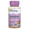 Solaray Turmeric Root Extract 300mg Veggie Capsules 60 Count
