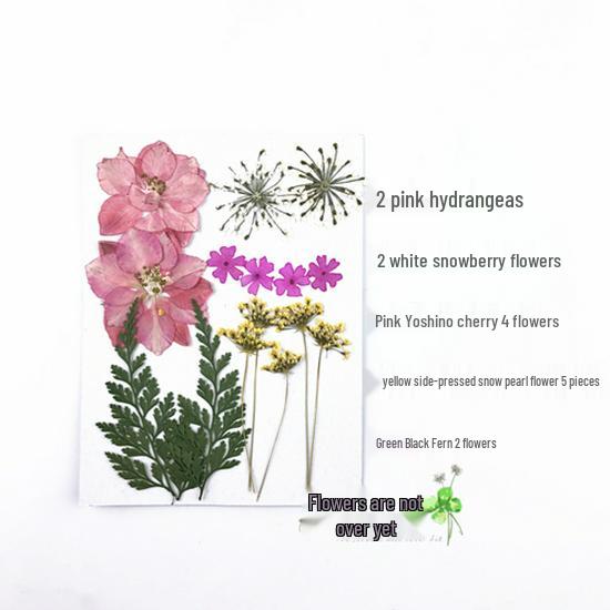Handmade Kindergarten Collage: Real Dried Leaf and Flower Stickers for Face and Photo Decoration