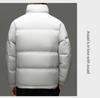 Veste d'hiver pour homme 90% duvet - Tendance, Polyvalente, Col montant Manteau chaud
