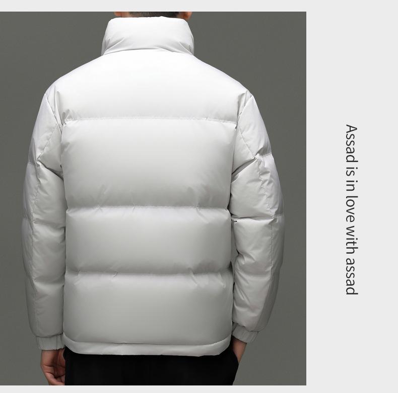Veste d'hiver pour homme 90% duvet - Tendance, Polyvalente, Col montant Manteau chaud