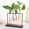 Plant Terrarium With Wooden Stand Glass Planter Plant Vase with Wooden Stand Hydroponic Flower Vase Container for Living Room