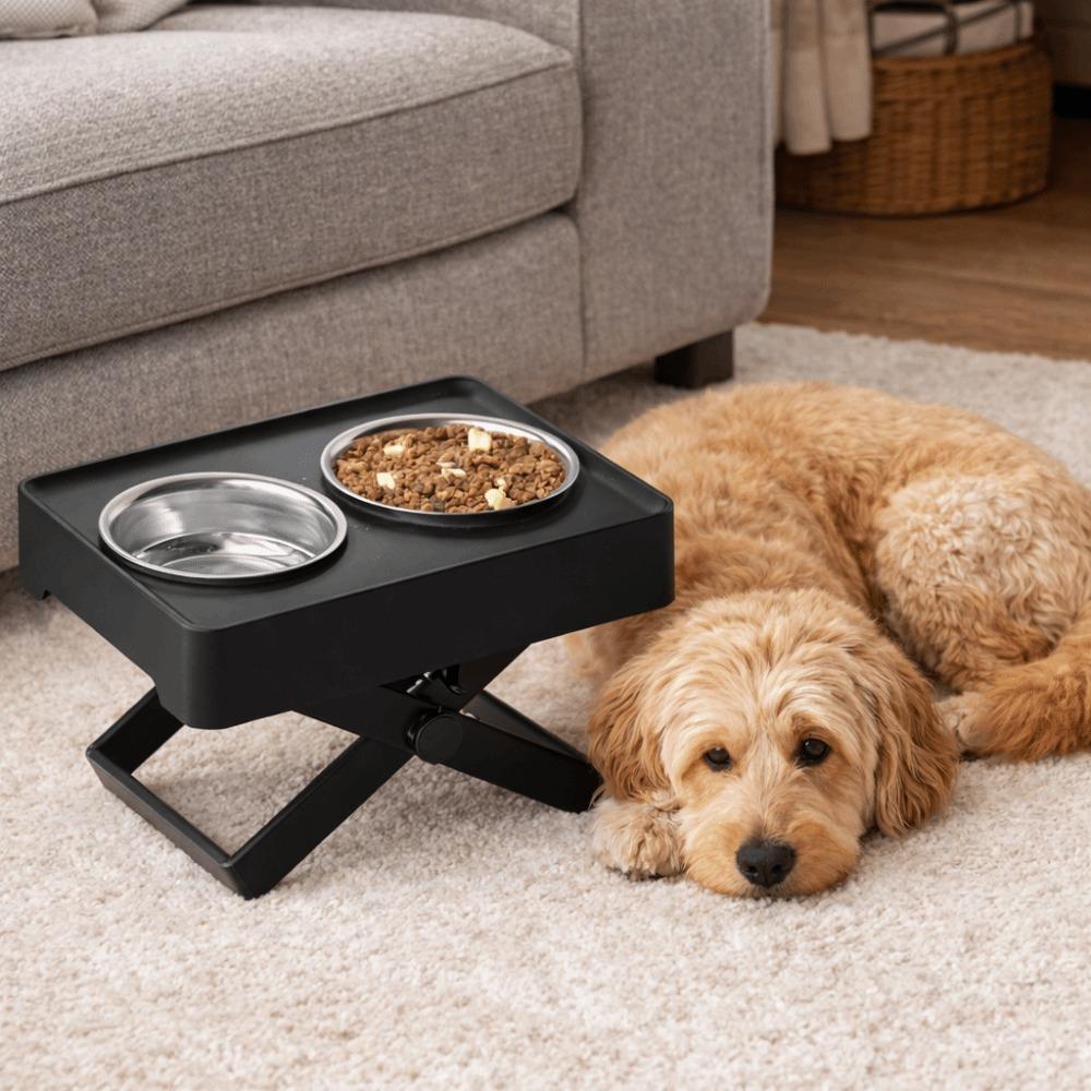 Spill-proof Dog Feeding Bowl Adjustable Height Dog Watering Bowl  Medium To Large Dogs