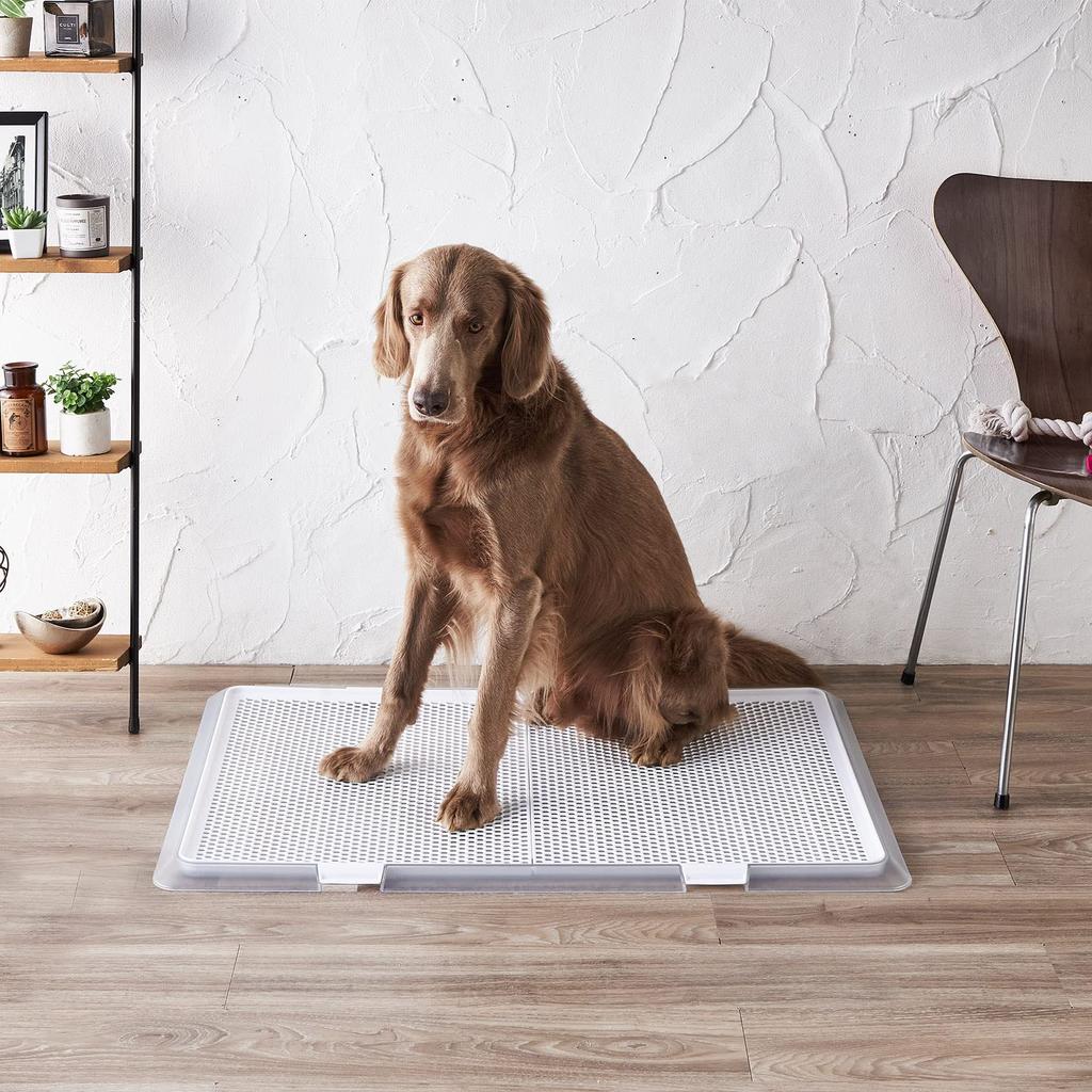 Bonbi Petley Clear Mesh XL