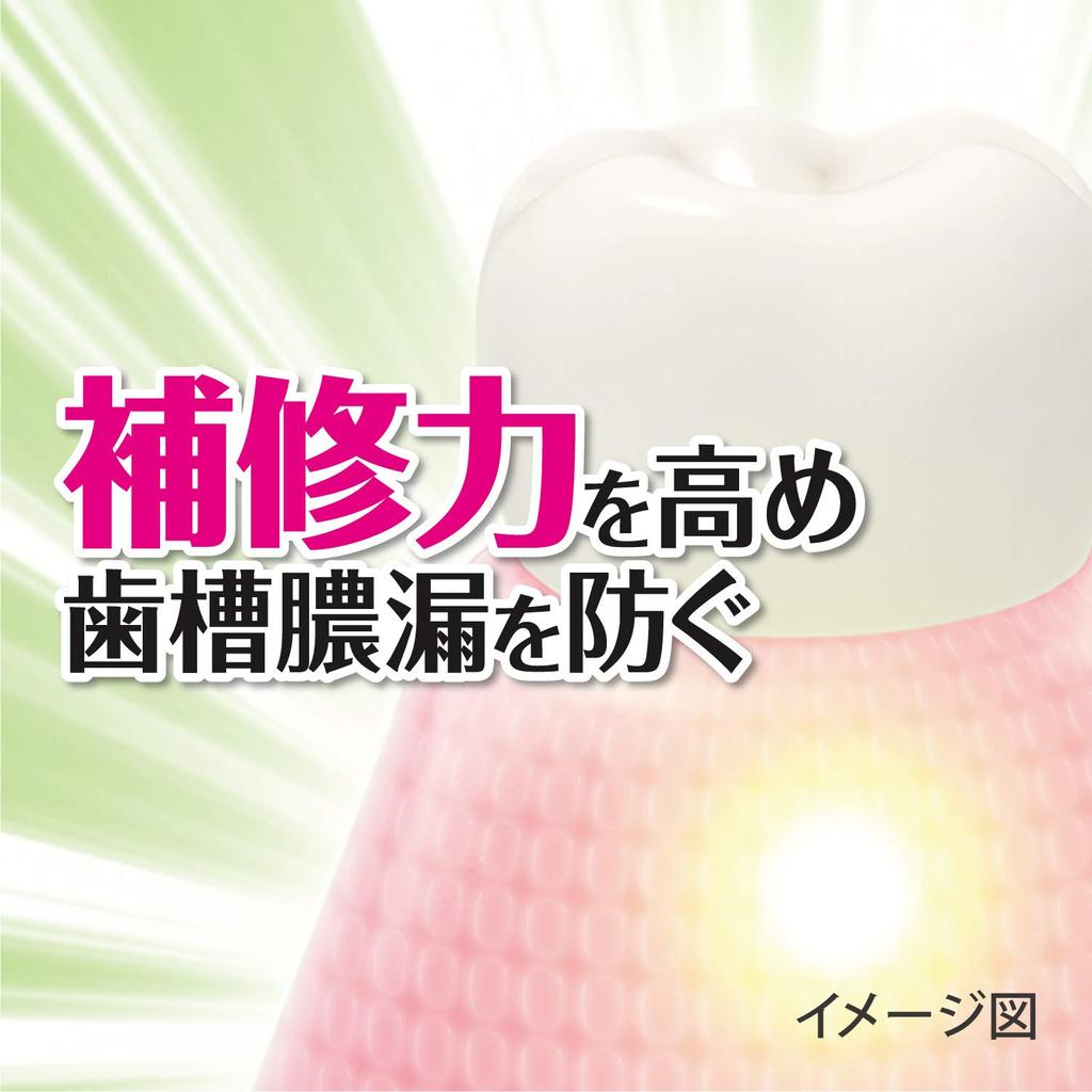 Dentifrice médicinal Fresh Leaf EX pour prévenir la pyorrhée, saveur herbes japonaises et chinoises, 100 g (Shoyou EX) [Quasi-drogue]