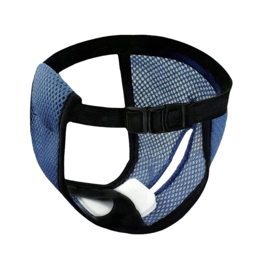 Female Dog Diapers: Sanitary Pants for Menstrual and Anti-Harassment Protection