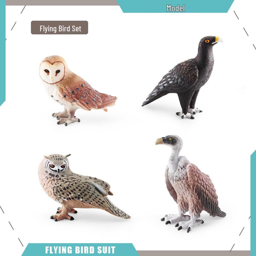 Wild Birds Science Education Model: Barn Owl, Eagle, Vulture, Owl Figurines for Children