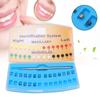 21 Pcs Dental Orthodontic Active Self Ligating Brackets Roth 0.022  Hook 3 4 5