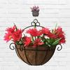 Size Yard Succulents Wall Hanging N1N Flowers Garden Supplies Flower Pot Decoration Hanging Basket