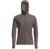 Icebreaker 260 Quantum Hoodie