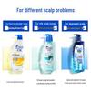 Head & Shoulders Refreshing Oil Control Shampoo