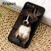 Krajews Boxer Dog Cute Funny Phone Case Cover For iPhone 14 5 SE 6s 7 8 plus XR XS 11 12 13 pro max Samsung Galaxy S21 S22ultra