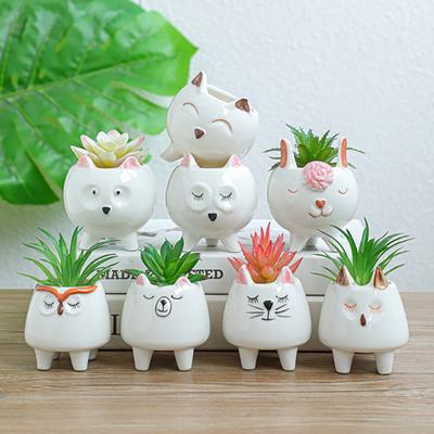 Cute Animal Flower Pot Succulent Pot Ceramic Planter Home Decor Desktop Ornaments Bonsai Plant Pot Garden Decoration