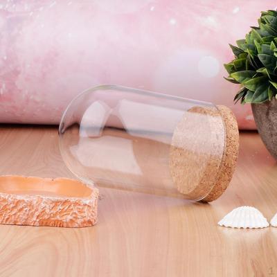 10Pcs Ball Shaped Cover Cork Base Display Terrarium Landcrape Figurines Model