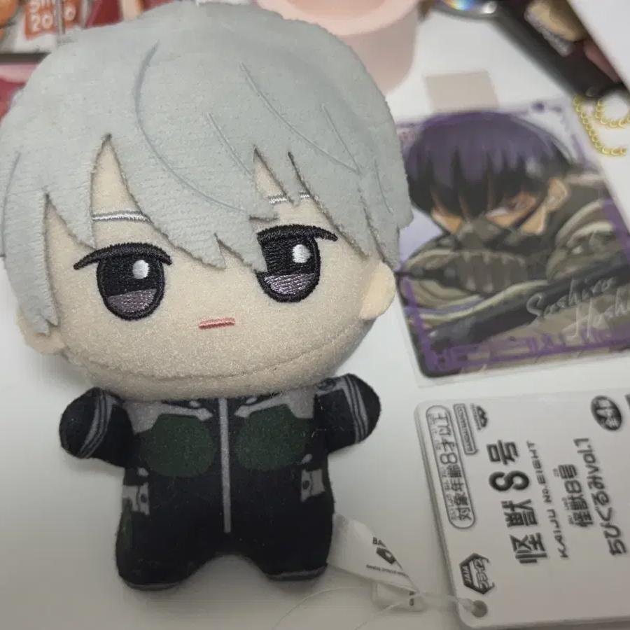 

Монстр Нет. 8 Рено Чибинуи Тэк